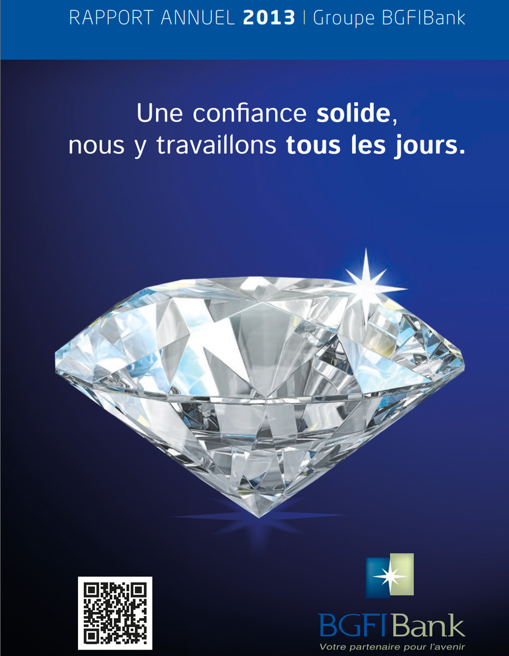 Rapport Annuel 2013